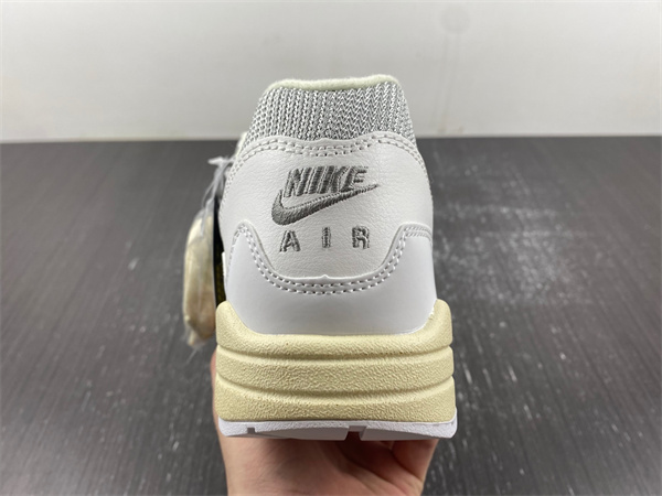 Nike Air Max 1 Patta Waves White DQ0299-100