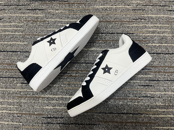 D10r Sneaker 033