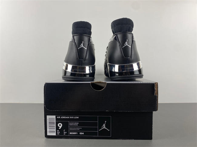 Air Jordan 17 OG  303891-004