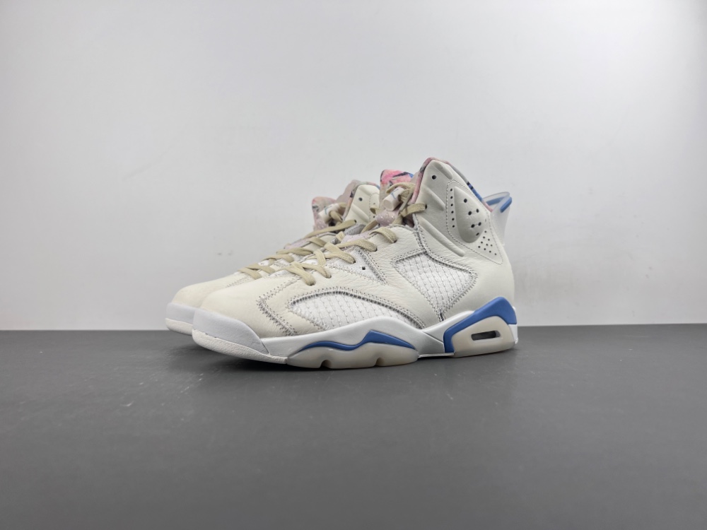 Air Jordan 6 Sport Blue 1101-1